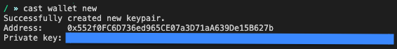 Screenshot from running &#39;cast wallet new&#39; to generate an SP1_PRIVATE_KEY.